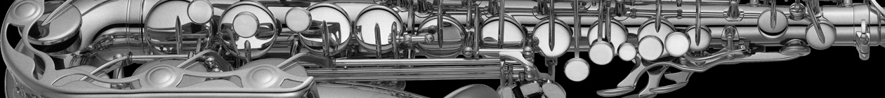 サックスはじめました